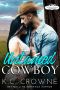 [Rainbow Canyons Cowboys 01] • Untamed Cowboy · A Contemporary Cowboy Romance